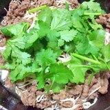 牛肉素麺炒めパクチー乗せ